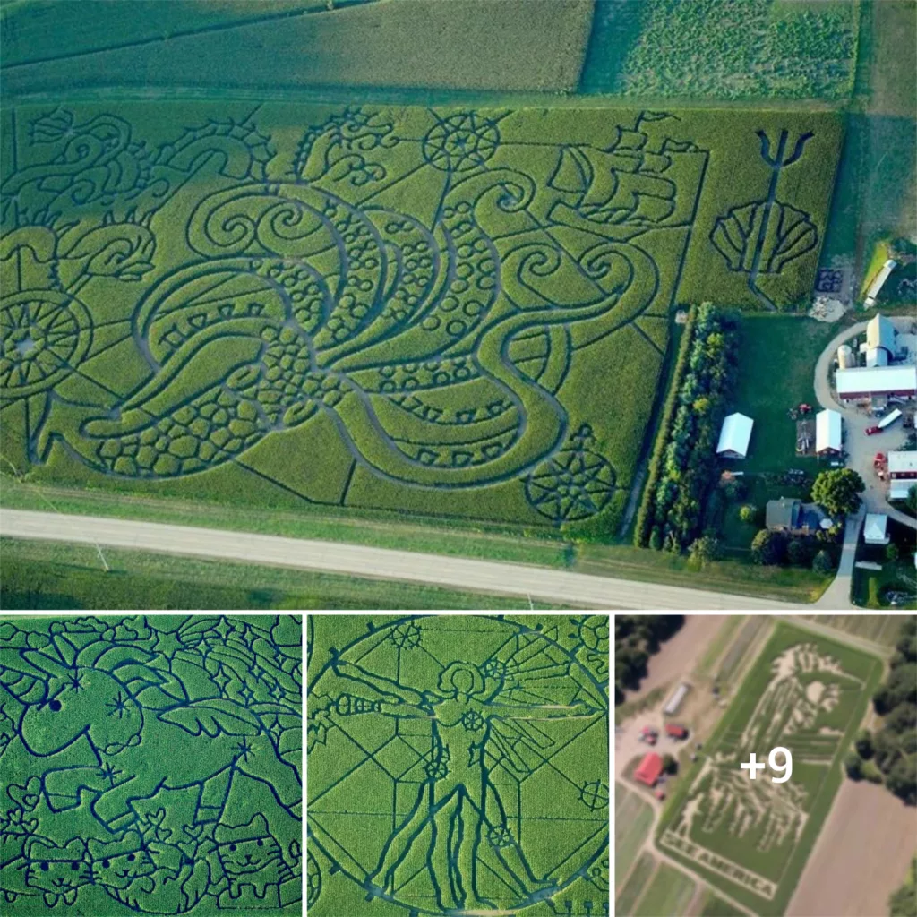 Unveiling Unusually Shaped Gardens Crafted by Farmers